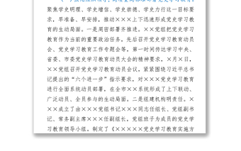 向党史学习教育领导小组巡回指导组工作开展情况的汇报