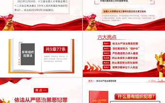 亮點解讀《反有組織犯罪法》專題課件PPT模板