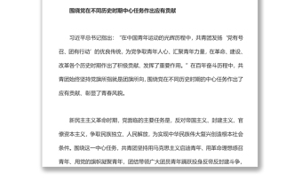 中国共青团的百年奋斗征程和历史启示团员干部学习教育