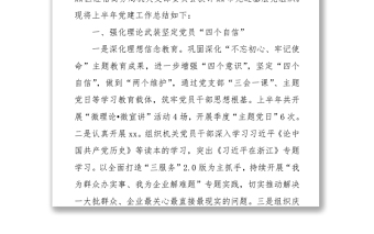 區(qū)經(jīng)信商務(wù)局黨支部2022年上半年黨建工作總結(jié)基層黨委黨支部年中工作總結(jié)工作情況匯報(bào)專題黨課