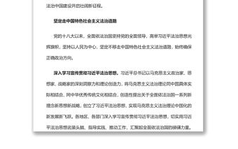 法治中國(guó)建設(shè)邁出堅(jiān)實(shí)步伐黨員干部深入學(xué)習(xí)《決議》專(zhuān)題