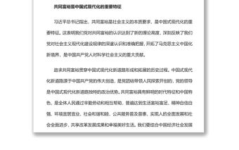 著力縮小“三大差距”扎實推進共同富裕實現共同富裕專題黨課