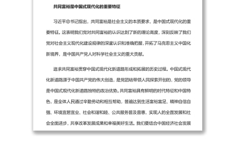 著力縮小“三大差距”扎實(shí)推進(jìn)共同富裕實(shí)現(xiàn)共同富裕專題黨課