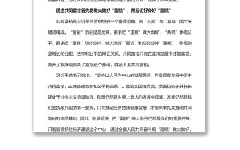 深刻把握促進(jìn)共同富裕的基本精神和實(shí)踐要求實(shí)現(xiàn)共同富裕專題