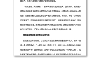 中國共產黨基層黨建的百年實踐與啟示黨員干部學習教育專題黨課