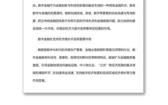 发挥数字金融在支持经济增长中的重要作用深入学习《扎实稳住经济的一揽子政策措施》