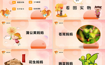 2022植物媽媽有辦法PPT清新創(chuàng)意課文第3課小學(xué)二年級語文上冊人教版教學(xué)課件