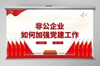 紅色簡潔黨政風非公企業如何加強黨建工作PPT