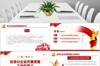 紅色簡潔黨政風非公企業如何加強黨建工作PPT