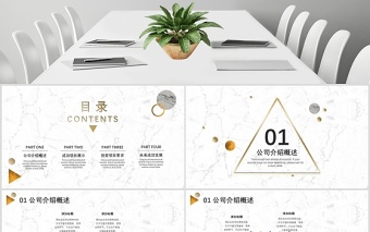 2020簡約大理石風(fēng)商業(yè)計劃書PPT模板