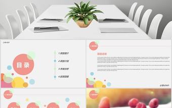 炫彩商業(yè)計劃書PPT模板