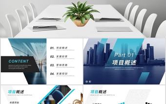 2020商務(wù)風(fēng)項(xiàng)目計(jì)劃書PPT模板