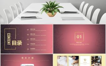 2020高端大氣互聯網創業計劃書PPT模板