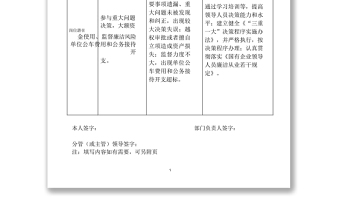 個人崗位廉潔風險點與防控措施排查表（模板）