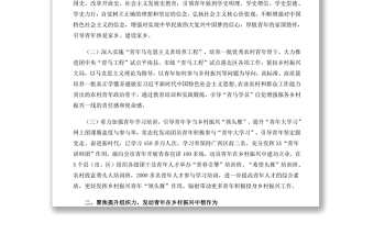 聚焦三力一度 持續(xù)引領(lǐng)青年服務(wù)鄉(xiāng)村振興引領(lǐng)力組織力服務(wù)力貢獻(xiàn)度團(tuán)組織專題團(tuán)課演講稿