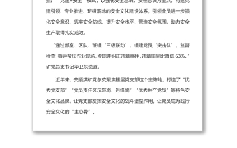 黨建工作與安全生產(chǎn)深度融合1