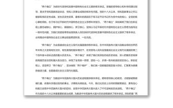 深刻把握“两个确立”自觉践行“两个维护” 深入学习贯彻党的十九届六中全会精神专题党课演讲稿