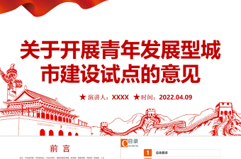 2022新时代的中国青年白皮书PPT