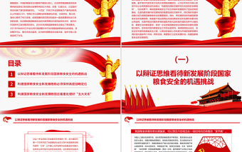 構(gòu)建國家糧食安全新發(fā)展格局PPT紅色黨政風(fēng)深入學(xué)習(xí)中央農(nóng)村工作會議專題黨課課件
