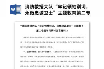 消防救援大隊“牢記領袖訓詞，永做忠誠衛士”主題教育第二專題學習研討發言材料3