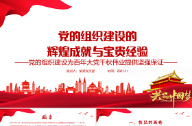 2021黨支部組組織學(xué)習(xí)中國共產(chǎn)黨組織建設(shè)100年簡報ppt