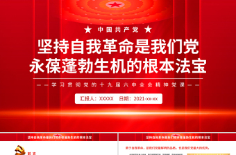 2021乡镇干部十九届六中全会发言提纲ppt