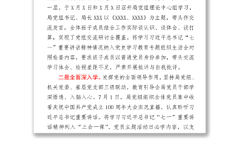 學(xué)習(xí)貫徹七一重要講話(huà)精神情況總結(jié)匯報(bào)