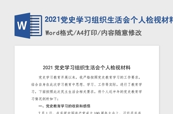 2021个人检视报告党史