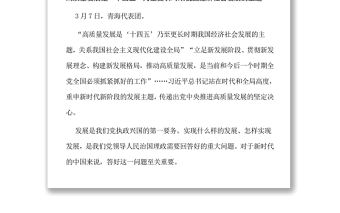 堅(jiān)定不移走高質(zhì)量發(fā)展之路