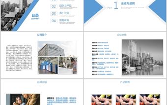 大氣國際貿易公司品牌天貓入駐方案項目方案策劃藍色商務ppt模板