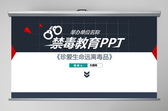 学校禁毒教育宣传ppt