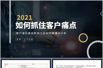 2021如何抓住客戶痛點客戶潛在具有影響力目標對象痛點分析動態(tài)PPT模板