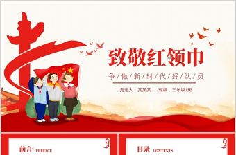 2021致敬紅領巾PPT紅色卡通紅領巾的歷史發展童心向黨伴我成長少先隊知識宣傳教育課件