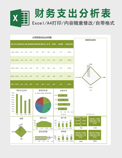 绿色美观公司财务支出分析报告excel模板