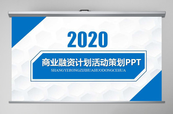 2021网红电商融资计划书ppt