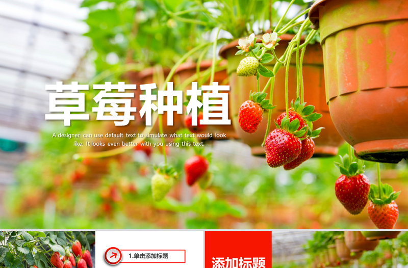水果草莓園綠色水果農(nóng)產(chǎn)品種植基地PPT模板