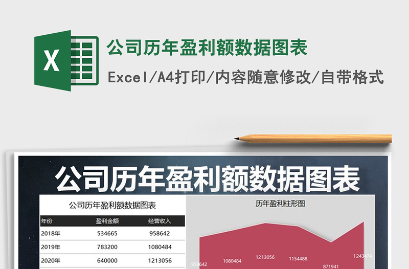 2022年公司历年盈利额数据图表