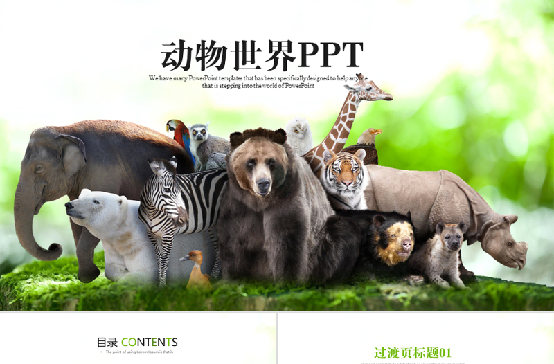 動(dòng)物世界保護(hù)野生動(dòng)物ppt動(dòng)態(tài)模板