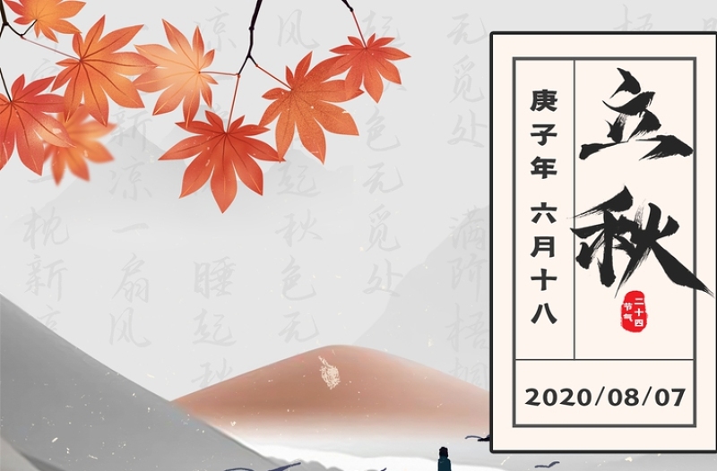 简约中国风山水秋叶枫叶立秋24节气入秋海报模板设计图片