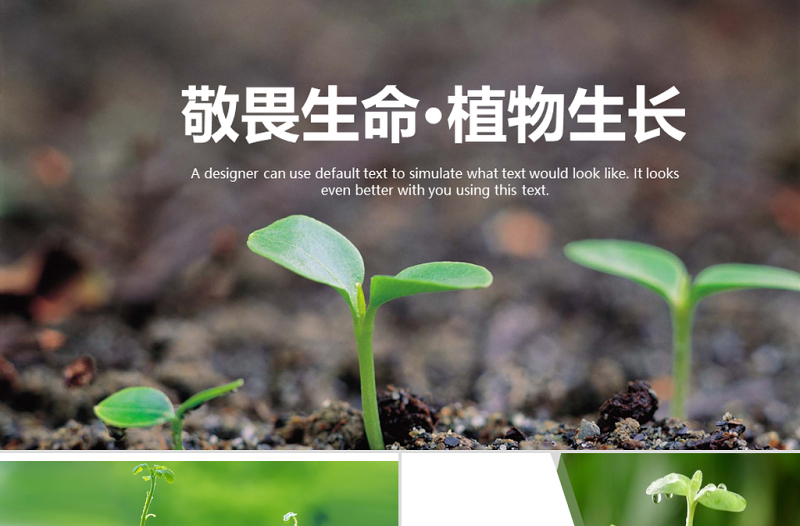 原創(chuàng)勃勃生機綠色小苗生長發(fā)芽生長動態(tài)ppt-版權可商用