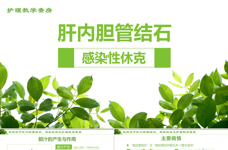 感染性休克肝膽內(nèi)結(jié)石護(hù)理教學(xué)查房PPT模版