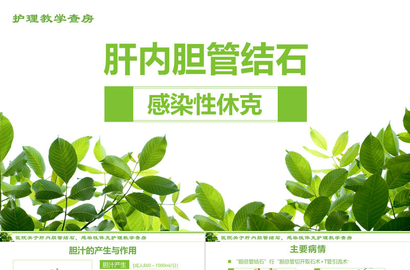 感染性休克肝膽內結石護理教學查房PPT模版