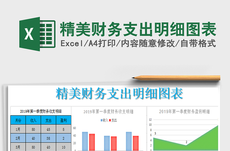 2021年精美財務(wù)支出明細(xì)圖表免費下載