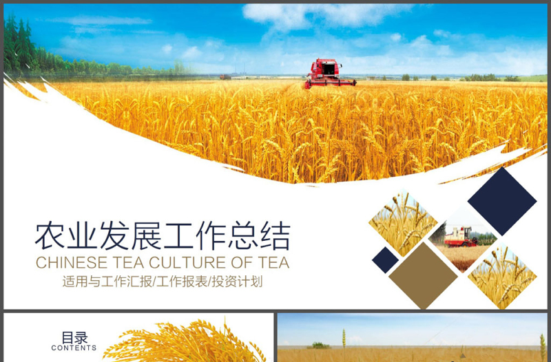 農(nóng)產(chǎn)品農(nóng)業(yè)發(fā)展工作總結(jié)PPT模板