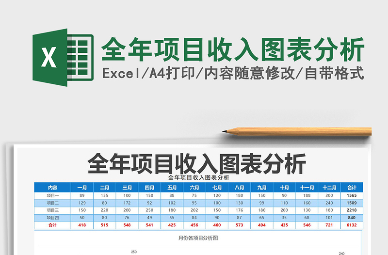 2021年全年项目收入图表分析