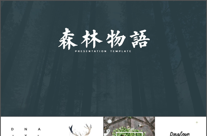 歐美動物之森文藝自然風(fēng)景動物保護PPT模板
