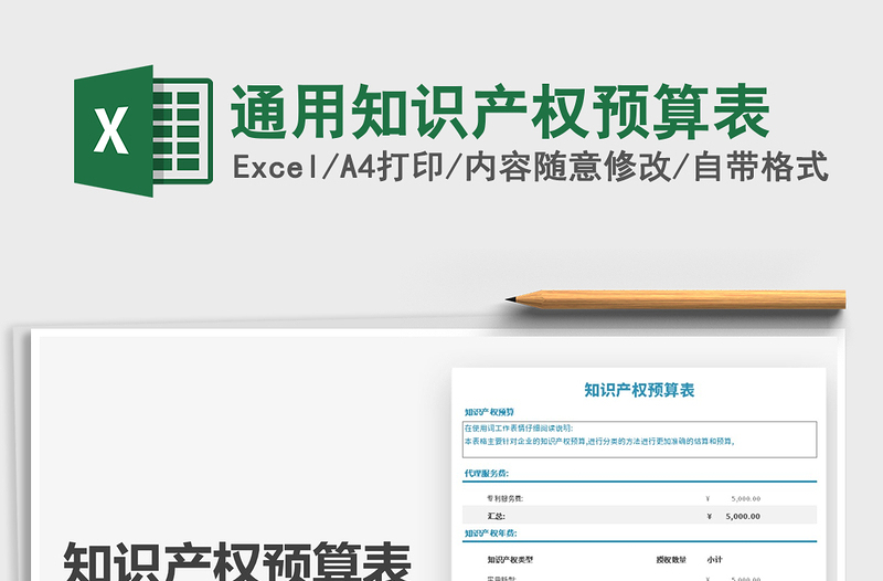 2021年通用知识产权预算表