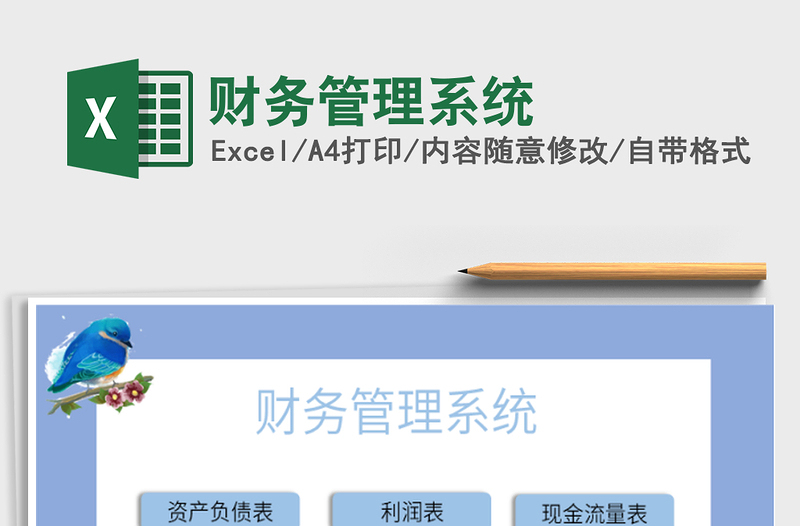 2021年財務(wù)管理系統(tǒng)