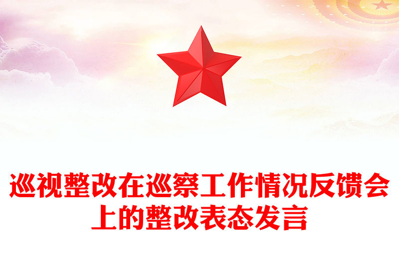 巡視整改在巡察工作情況反饋會上的整改表態發言