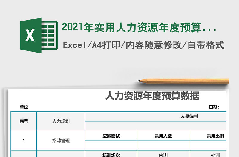 2021年實用人力資源年度預(yù)算數(shù)據(jù)(精致可打印)